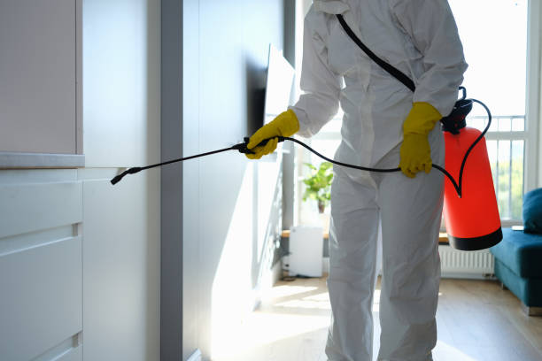 Best Mold Testing and Inspection Services in Sealy, TX